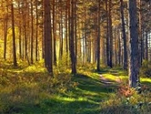 September