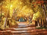 September 2